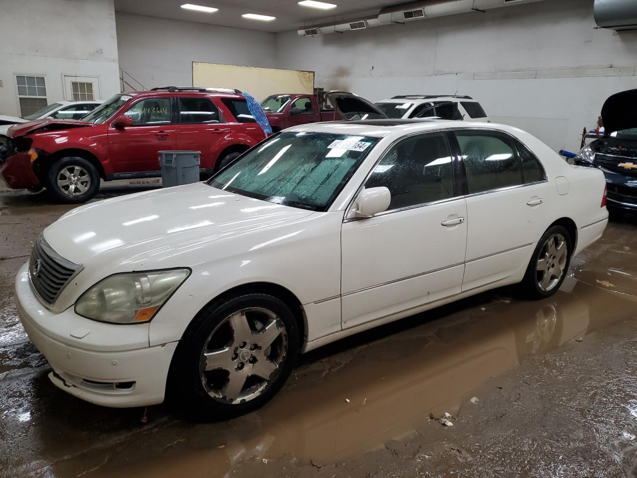 Lot #3029691072 2005 LEXUS LS 430