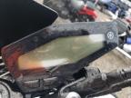 Lot #3036756071 2017 YAMAHA FZ09