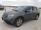 Lot #3023407323 2014 HONDA CR-V EX