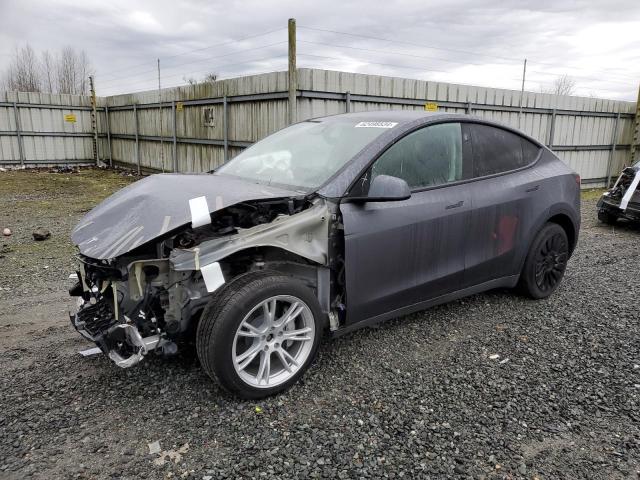 2023 TESLA MODEL Y #3033034046