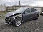 Lot #3033034046 2023 TESLA MODEL Y