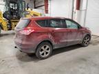 Lot #3033793741 2014 FORD ESCAPE SE