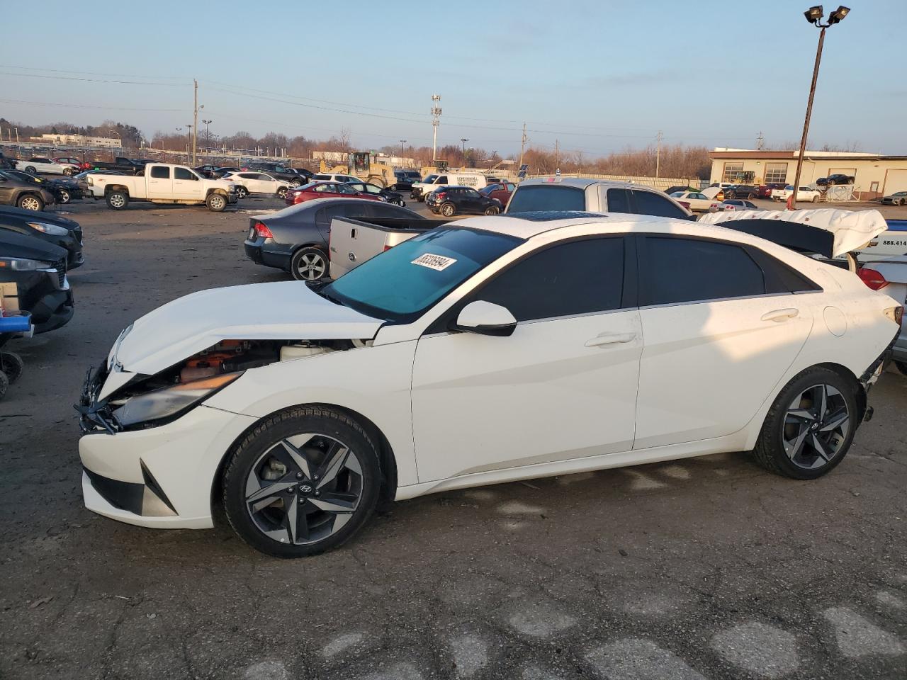 KMHLN4AJXPU048892 HYUNDAI ELANTRA LI 2023
