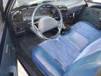 Lot #3034818635 1993 TOYOTA PICKUP 1/2