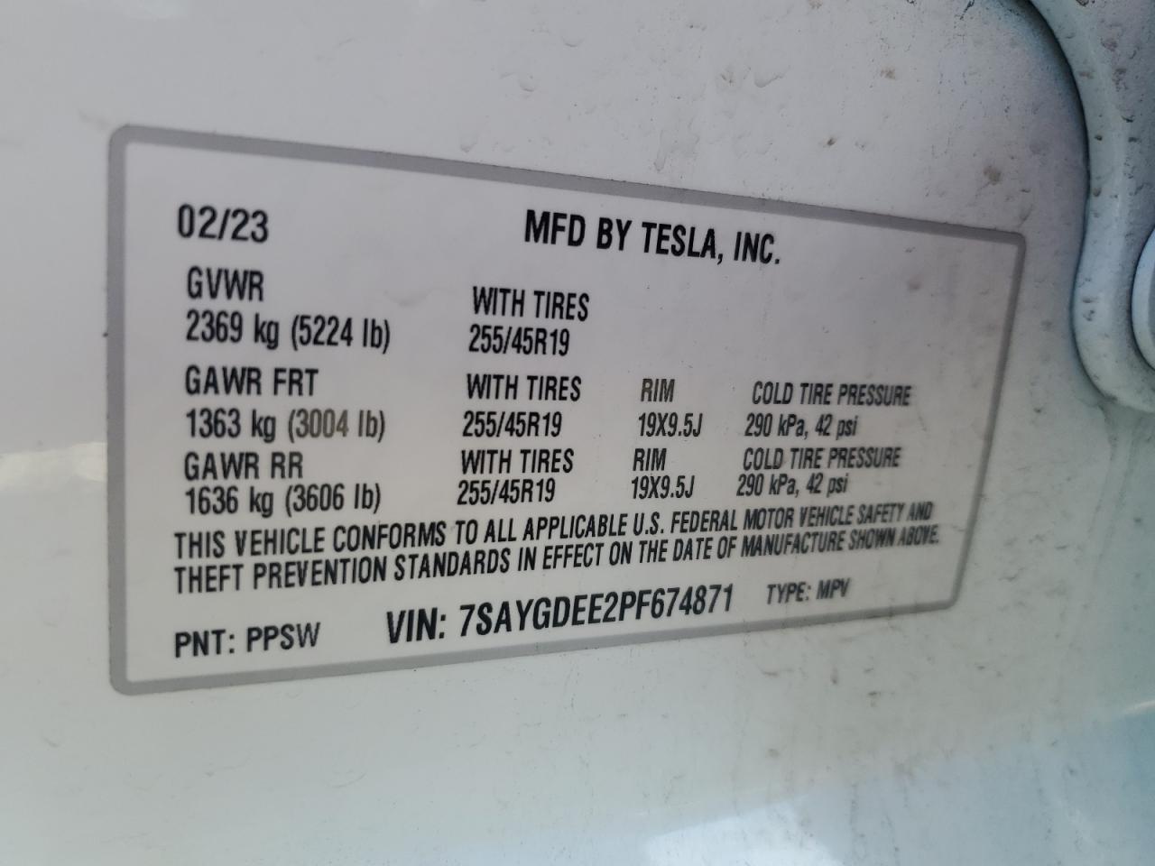 Lot #3037009721 2023 TESLA MODEL Y