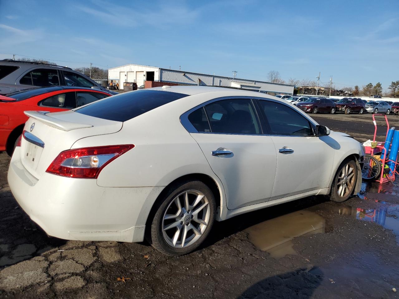 Lot #3034279224 2010 NISSAN MAXIMA S