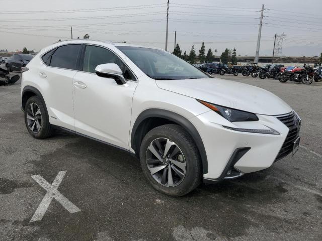 2019 LEXUS NX 300H JTJBJRBZ8K2100034