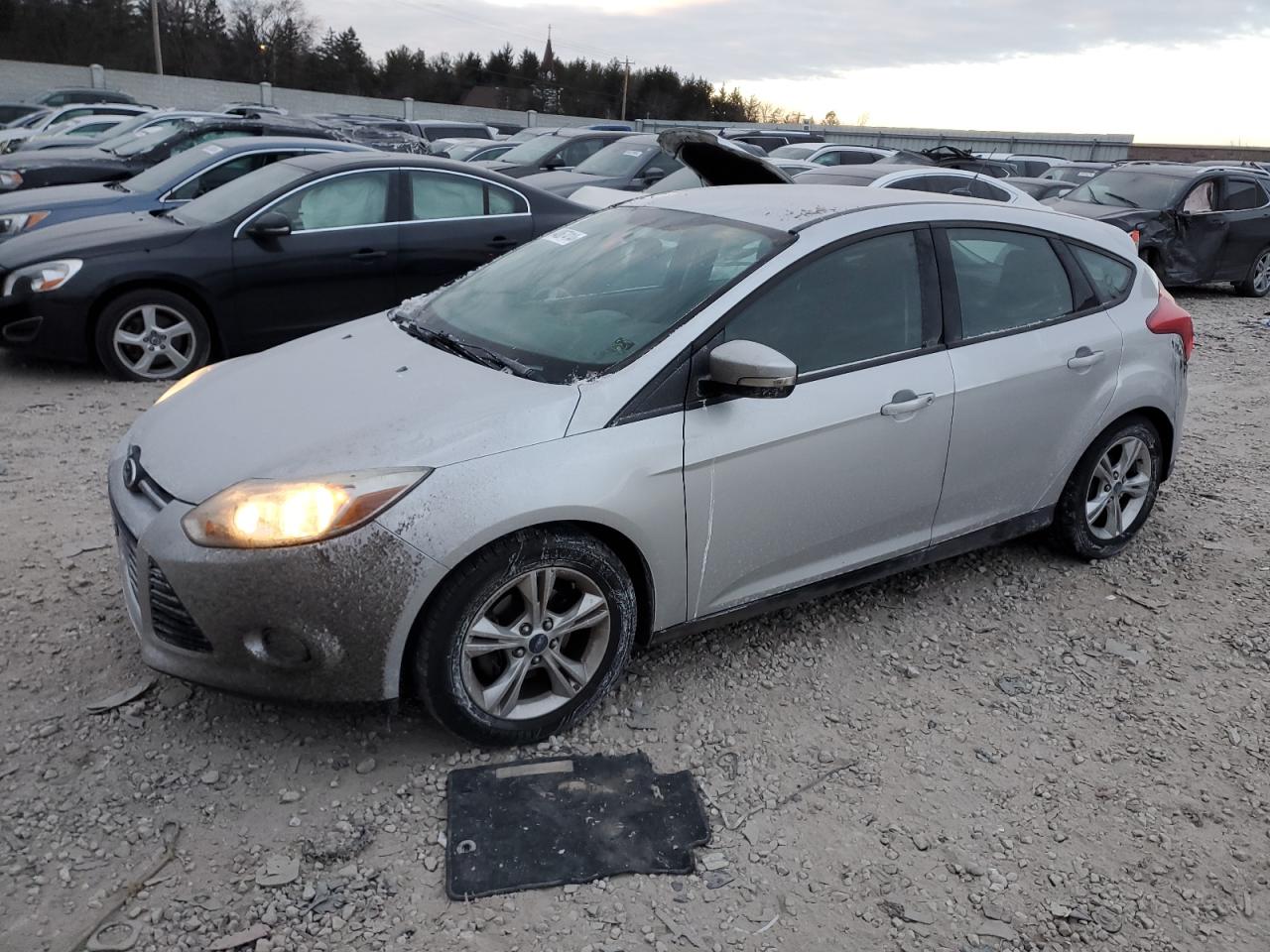 Lot #3025219635 2014 FORD FOCUS SE