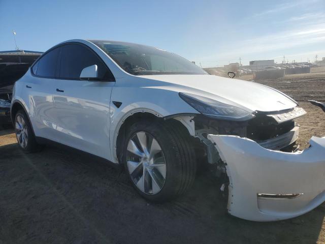 5YJYGDEE5MF204679 2021 TESLA MODEL Y