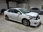 Lot #3027095851 2010 TOYOTA COROLLA BA