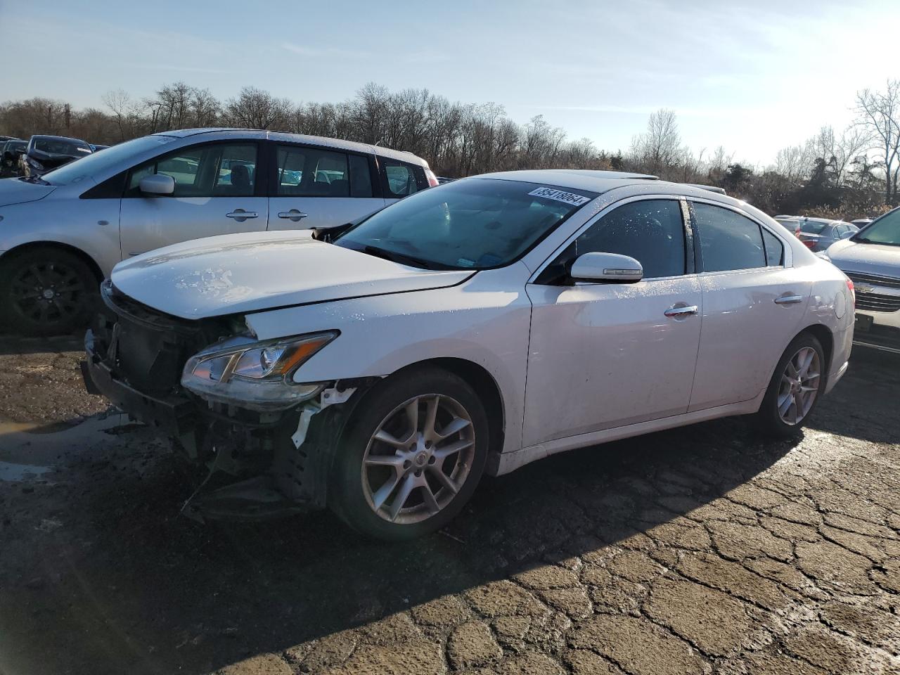 Lot #3034279224 2010 NISSAN MAXIMA S