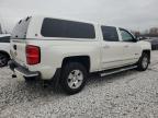 Lot #3033179200 2014 CHEVROLET SILVERADO