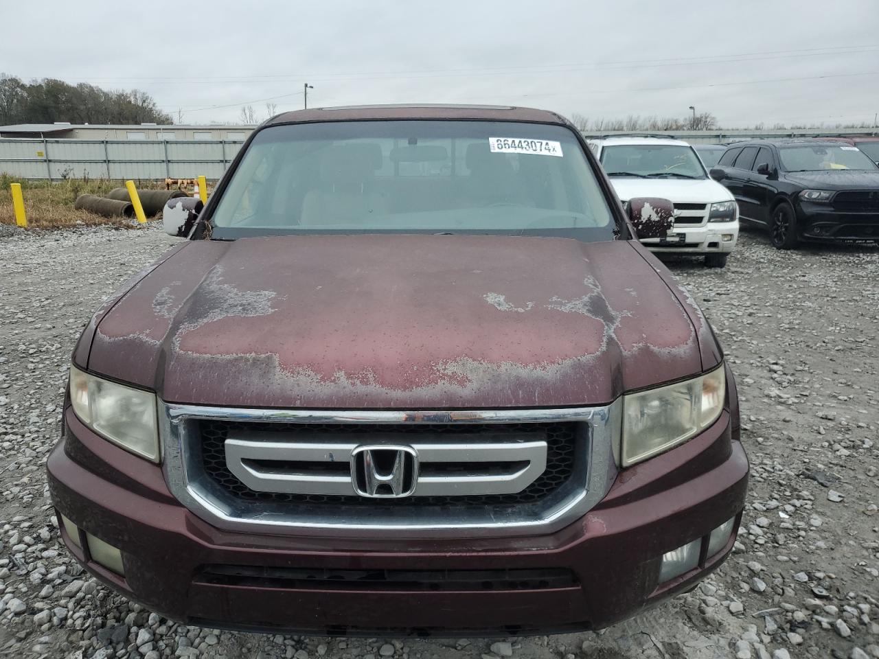 Lot #3037260495 2010 HONDA RIDGELINE