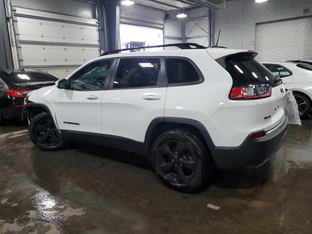 2019 JEEP CHEROKEE L - 1C4PJMLX1KD299327