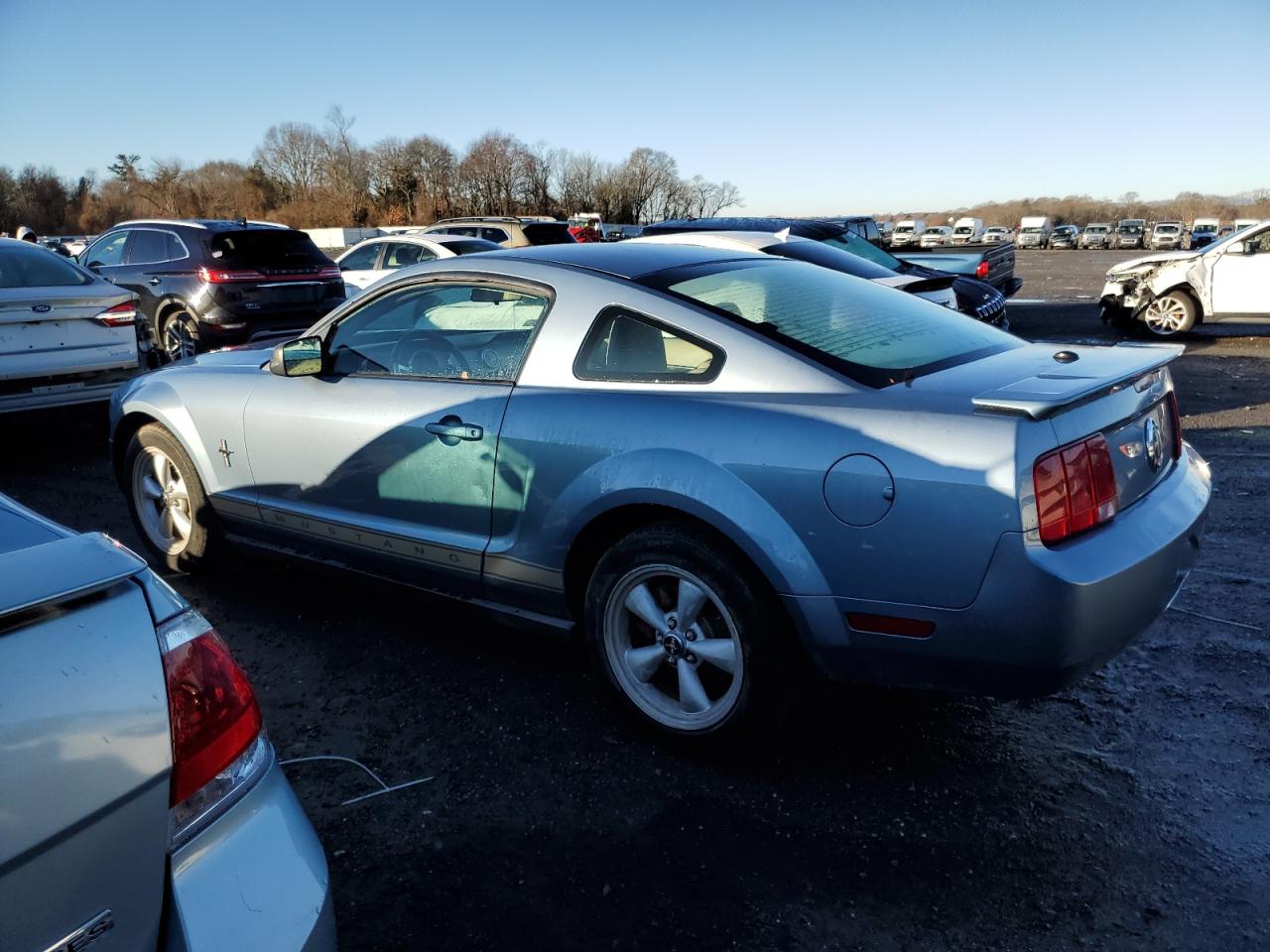 Lot #3029503416 2007 FORD MUSTANG