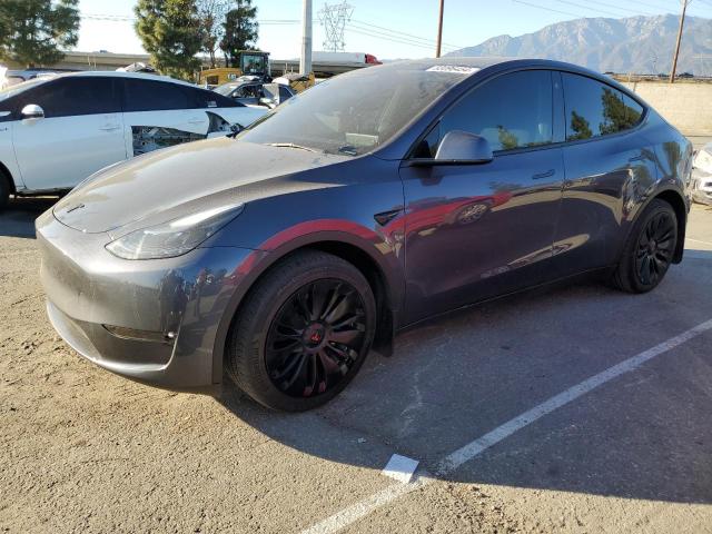 TESLA MODEL Y 2023 gray  electric 7SAYGAEEXPF739061 photo #1