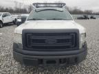 Lot #3030805463 2013 FORD F150