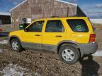 Lot #3025223594 2001 FORD ESCAPE XLT