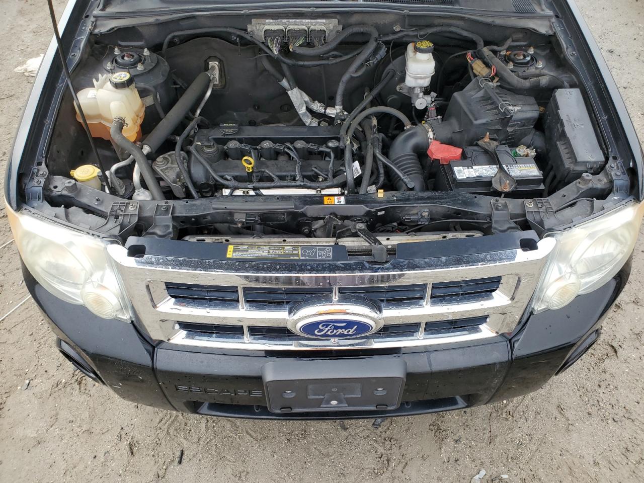 Lot #3027126789 2010 FORD ESCAPE XLT