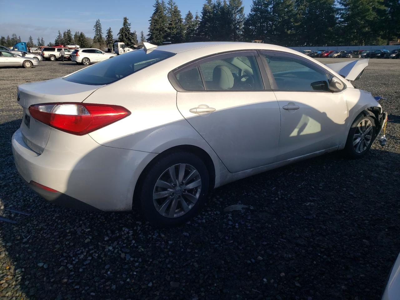 Lot #3033485132 2014 KIA FORTE LX