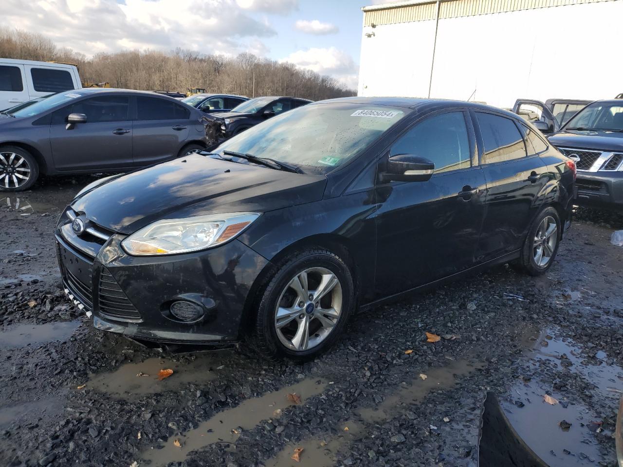 Lot #3040808776 2014 FORD FOCUS SE