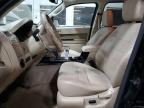 Lot #3024601631 2012 FORD ESCAPE LIM