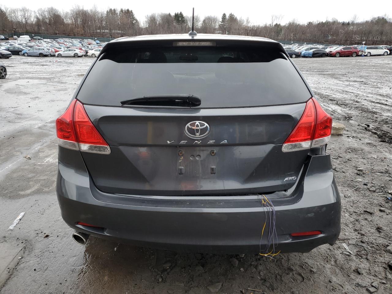 Lot #3034375118 2010 TOYOTA VENZA