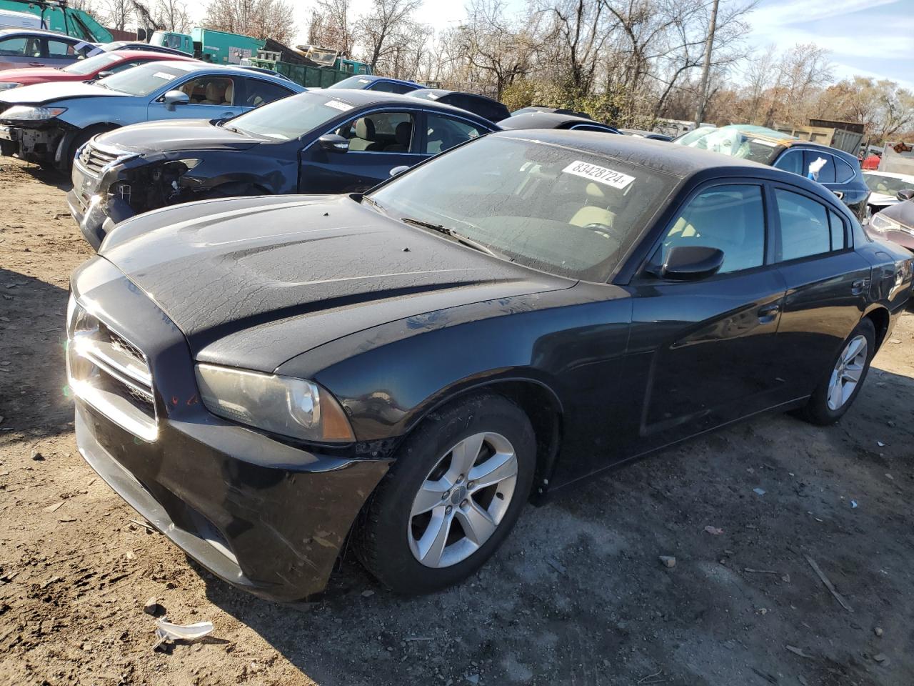 Lot #3033387894 2014 DODGE CHARGER SE