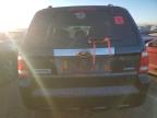 Lot #3033696721 2008 FORD ESCAPE LIM