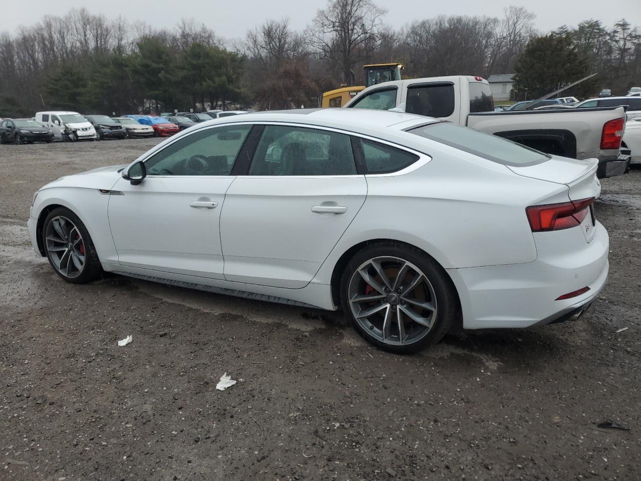 Lot #3024244895 2019 AUDI S5 PREMIUM