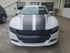 Lot #3023867858 2016 DODGE CHARGER R/