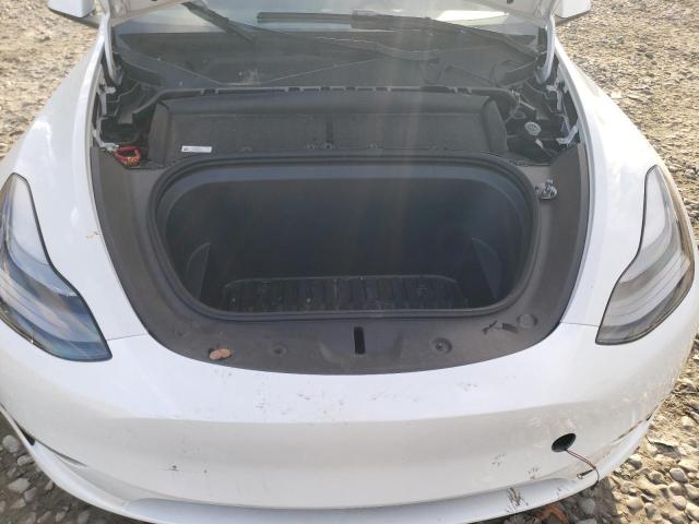 2023 TESLA MODEL Y - 7SAYGAEE7PF749059