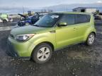 Lot #3034360075 2014 KIA SOUL