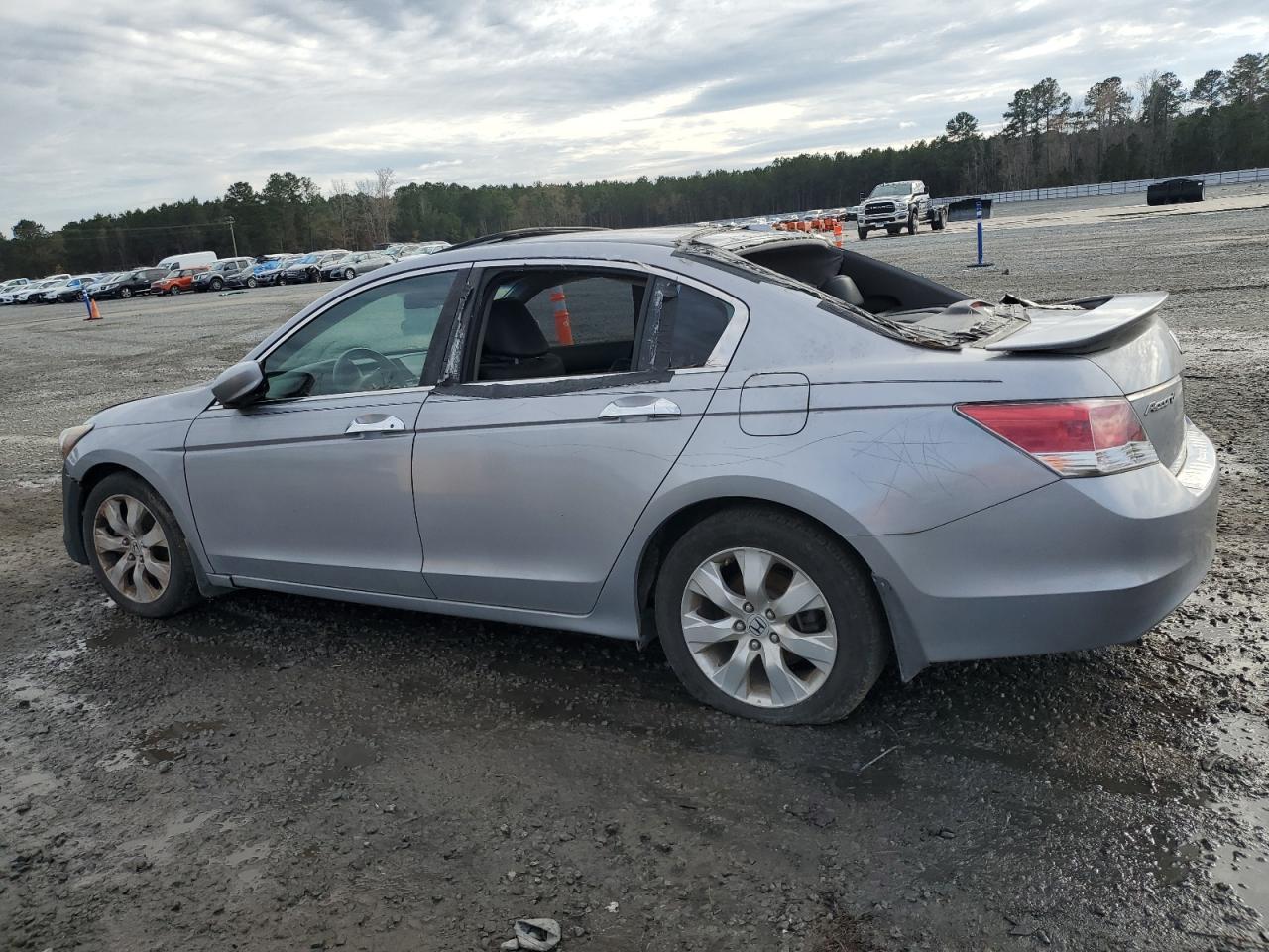 Lot #3024506393 2008 HONDA ACCORD EXL