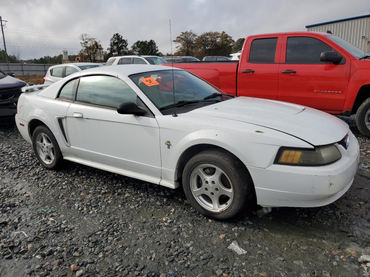 Lot #3024489526 2003 FORD MUSTANG