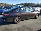 Lot #3024970363 2017 HONDA ACCORD LX