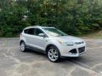 Lot #3023988296 2014 FORD ESCAPE TIT