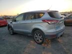 Lot #3025020278 2013 FORD ESCAPE SEL