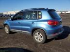 Lot #3040715782 2017 VOLKSWAGEN TIGUAN S