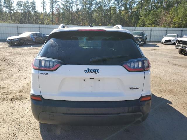 2019 JEEP CHEROKEE L - 1C4PJLLBXKD312204
