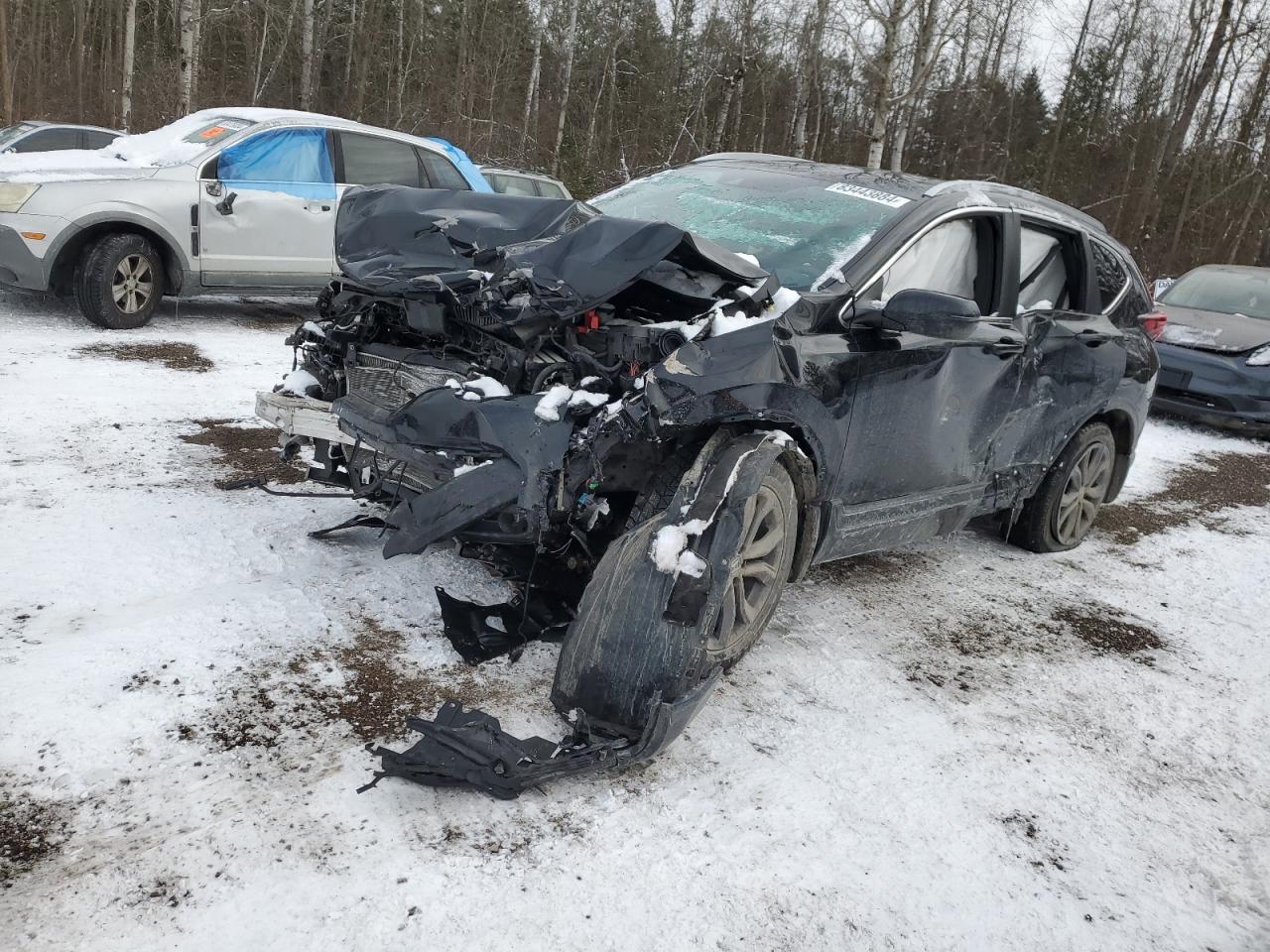 car imagge