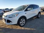 Lot #3023774898 2014 FORD ESCAPE SE