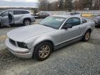 Lot #3027165286 2007 FORD MUSTANG