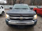 Lot #3024855365 2008 CHEVROLET SILVERADO