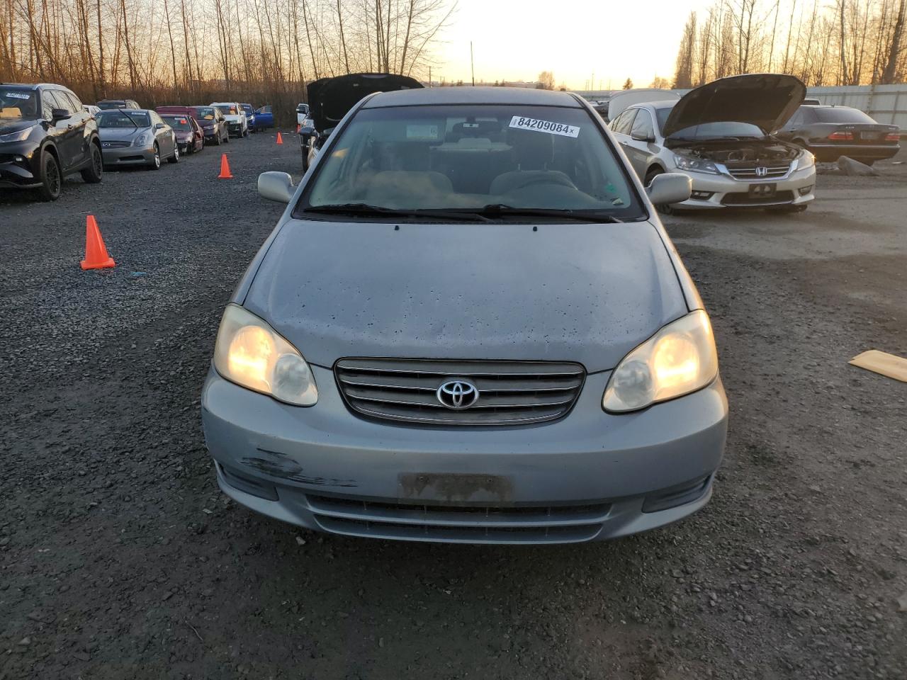 Lot #3029800250 2004 TOYOTA COROLLA CE