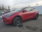 2024 TESLA MODEL Y - 7SAYGDED0RF201867