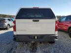 Lot #3030517493 2023 CHEVROLET SILVERADO