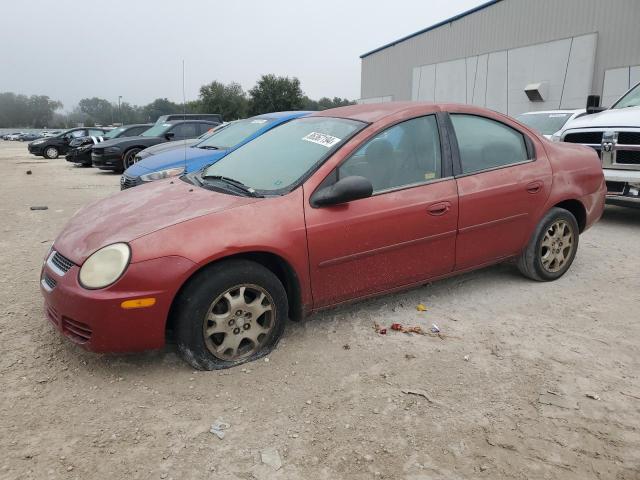 2005 DODGE NEON SXT #3037047762