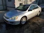 Lot #3025027174 2006 HONDA ACCORD EX