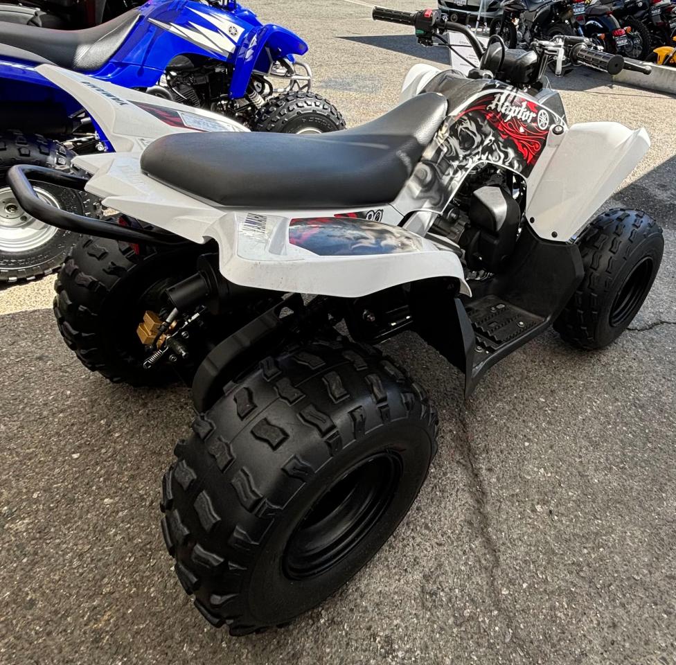 Lot #3041831453 2011 YAMAHA YFM90 R